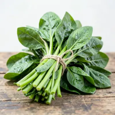 Tender Palak Spinach